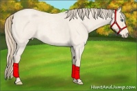 Horse Color:Perlino Roan