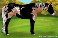 Horse Color:Silver Bay Splash Tobiano 