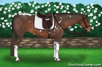 Horse Color:White Spotted Liver Chestnut Tobiano 
