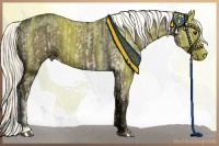 Horse Color:Liver Chestnut Sabino  and Liver Red Dun 