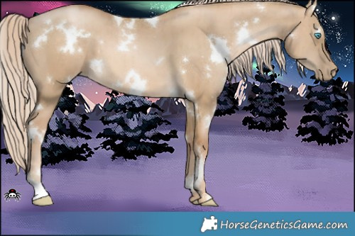 Horse Color:White Spotted Chocolate Palomino Pearl Dun Brindle 
