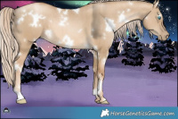 Horse Color:White Spotted Chocolate Palomino Pearl Dun Brindle 