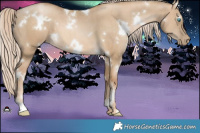Horse Color:White Spotted Chocolate Palomino Pearl Dun Brindle 