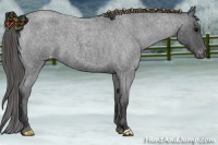 Horse Color:Blue Roan Varnish 