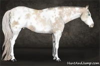 Horse Color:White Spotted Chocolate Palomino Pearl 