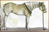 Horse Color:White Spotted Liver Red Dun Splash 