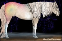 Horse Color:White Spotted Chocolate Palomino Pearl Rabicano
