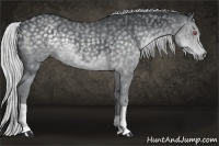 Horse Color:Silver Black Chinchilla 