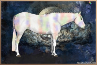 Horse Color:Gray Nacre Palomino Sabino Tobiano 