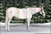Horse Color:Nacre White Spotted Cremello Sabino