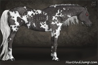 Horse Color:White Spotted Silver Smoky Black Chinchilla 