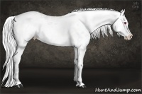 Horse Color:Silver Smoky Creme Chinchilla Sabino