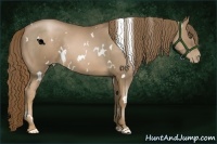 Horse Color:White Spotted Liver Chestnut Pearl 
