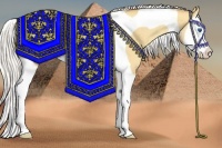 Horse Color:Silver Amber Cream Champagne Dun Splash Tobiano 