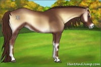 Horse Color:Red Onyx 