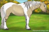 Horse Color:Silver Buckskin Dun Tobiano Rabicano 