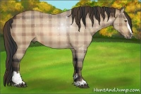 Horse Color:Plaid  Bay Roan Sabino 