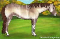 Horse Color:Red Onyx Ice