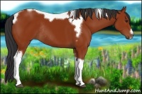 Horse Color:Bay Tobiano Frame Rabicano 