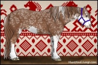 Horse Color:Chestnut Ice Sabino 