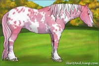 Horse Color:Watercolor White Spotted Chocolate Palomino Sabino Appaloosa Rabicano