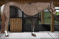 Horse Color:White Spotted Chestnut Ice