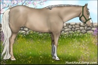 Horse Color:Liver Chestnut Pearl