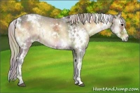 Horse Color:Watercolor White Spotted Silver Bay Ice Onyx and Nacre White Spotted Silver Bay Ice Onyx