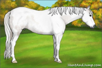 Horse Color:Gray Brown Roan Tobiano 