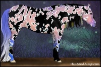 Horse Color:Watercolor White Spotted Bay Dun Appaloosa 