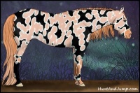 Horse Color:Watercolor Liver Red Dun Appaloosa 