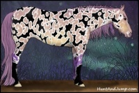 Horse Color:Watercolor Bay Dun Appaloosa Rabicano 