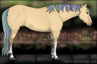Horse Color:Painted Silver Bay Dun 