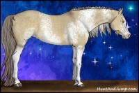 Horse Color:White Spotted Chocolate Palomino Dun 