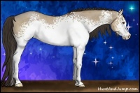 Horse Color:White Spotted Liver Red Dun 