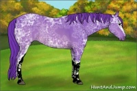 Horse Color:Watercolor White Spotted Brown Ice Rabicano 