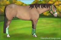 Horse Color:White Spotted Amber Champagne Splash 