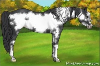 Horse Color:Black Frame 