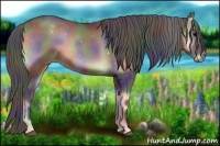 Horse Color:Nacre Blue Onyx
