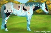 Horse Color:Thunderstruck Bay Ice Splash