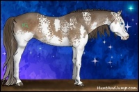 Horse Color:White Spotted Liver Chestnut Splash