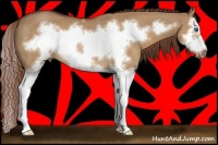 Horse Color:Red Dun Sabino Splash Frame Rabicano