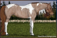 Horse Color:Red Roan Tobiano 