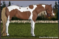 Horse Color:Chestnut Tobiano