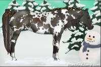 Horse Color:White Spotted Liver Chestnut 