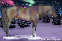 Horse Color:Nacre Bay Rabicano