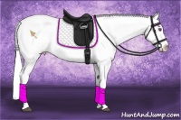 Horse Color:Bay Chinchilla Dun Appaloosa