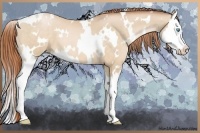 Horse Color:White Spotted Chocolate Buckskin Pearl Splash 