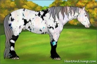 Horse Color:Nacre White Spotted Brown Chinchilla Ice Pearl Onyx Rabicano