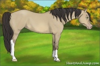 Horse Color:Sable Cream Champagne Dun 